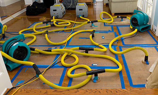 Professional Basement Flood Cleanup technician working in Gwynedd Valley, PA